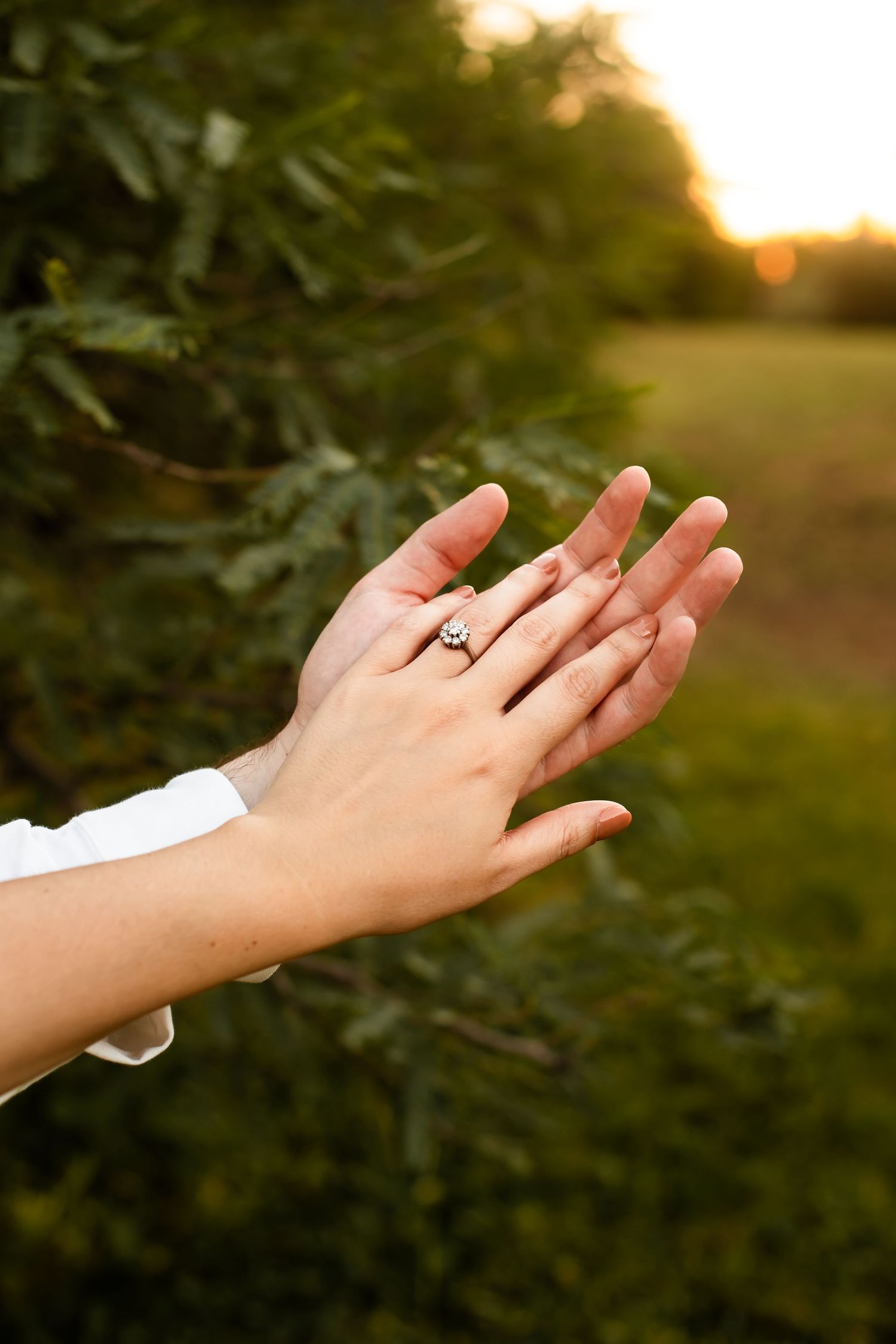 Detailed photo of engagement rings on a couple delicately holding hands with the golden sun shining behind them.