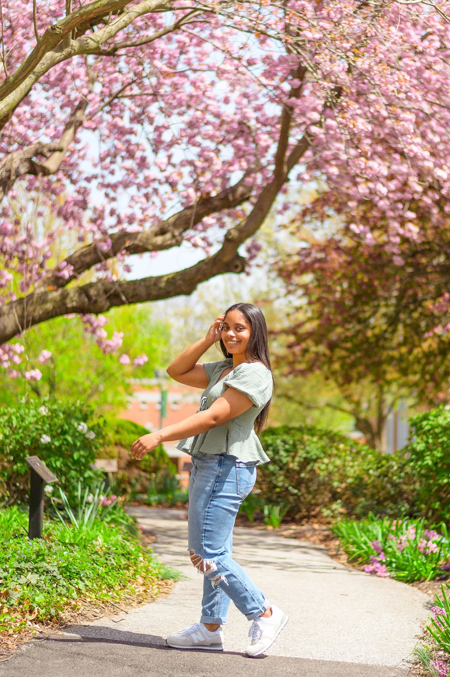 Cherry blossom trees frame a scenic walkway with pink spring blooms overhead.