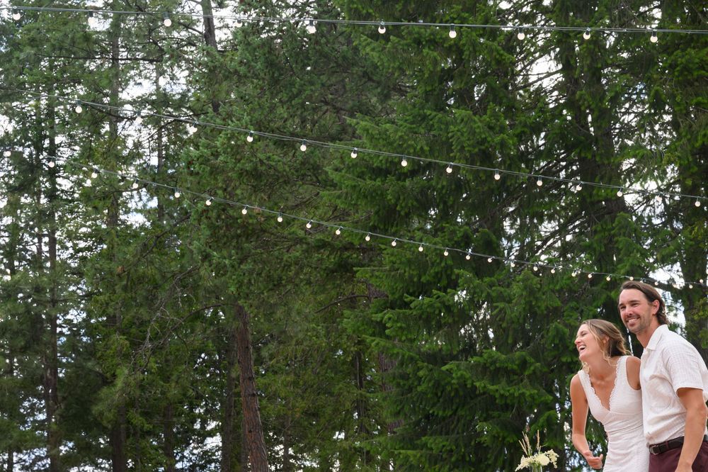 Outdoor wedding celebration with string lights decorating tall evergreen trees at dusk in the forest.