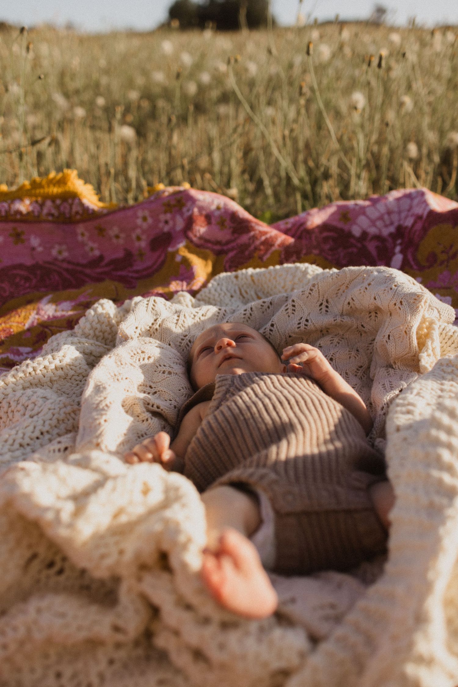 geelong melbourne newborn maternity family couples photographer photography