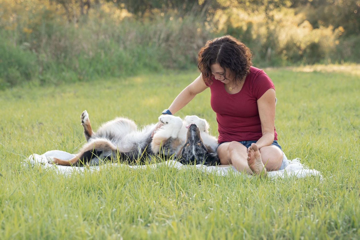 Someone in a red shirt sits on a blanket in grass while petting a spotted dog laying on its back.