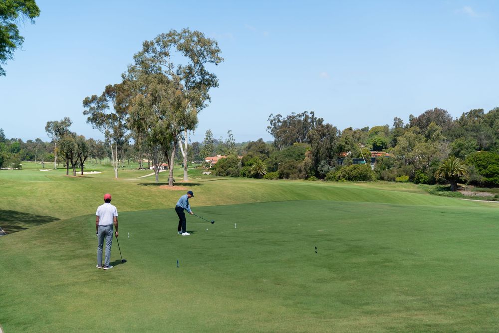 Golfers putting on a lush green course surrounded by eucalyptus trees on a sunny day.
