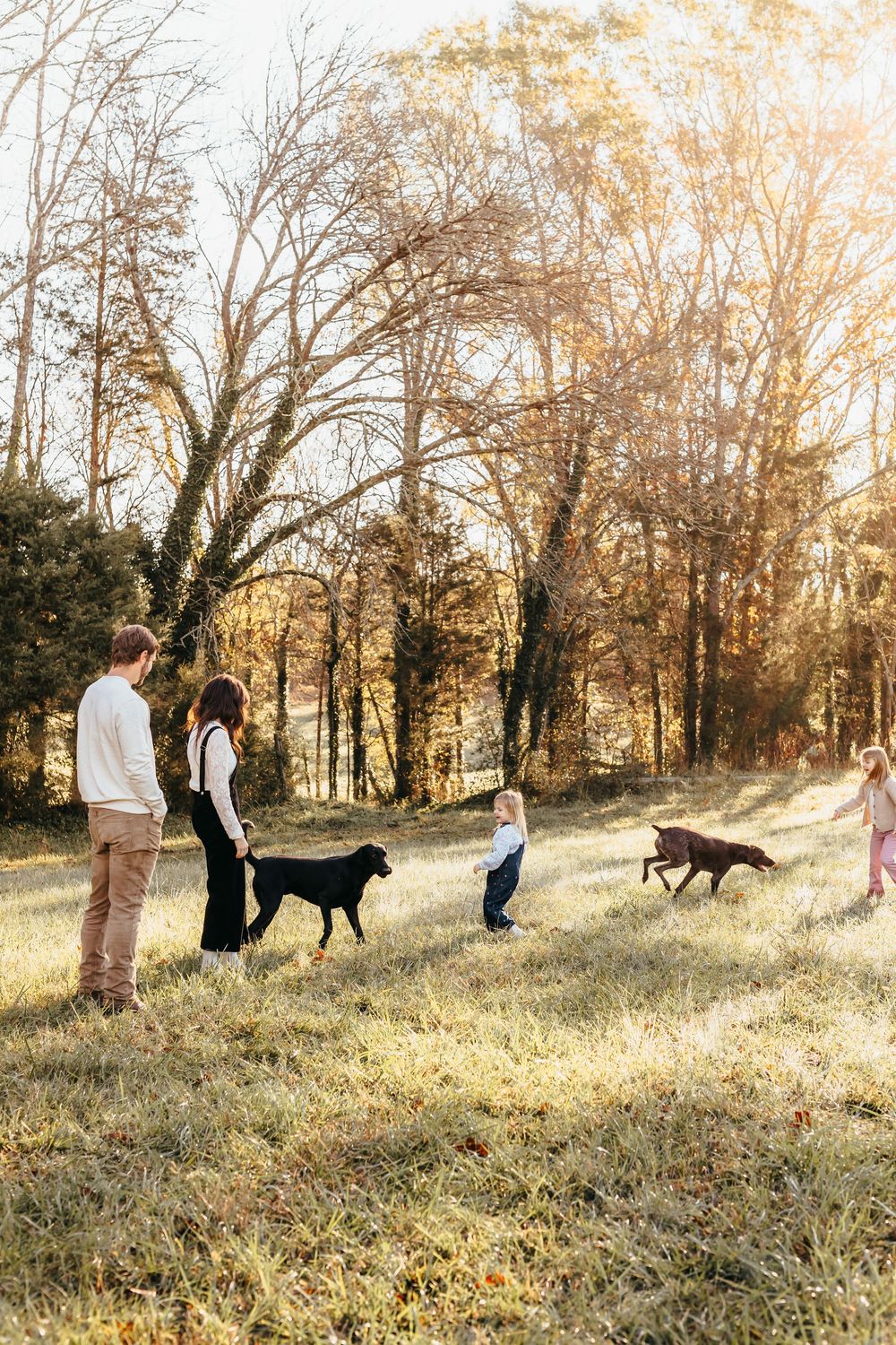 Family and dogs enjoying a playful moment together in a sun-drenched autumn field.