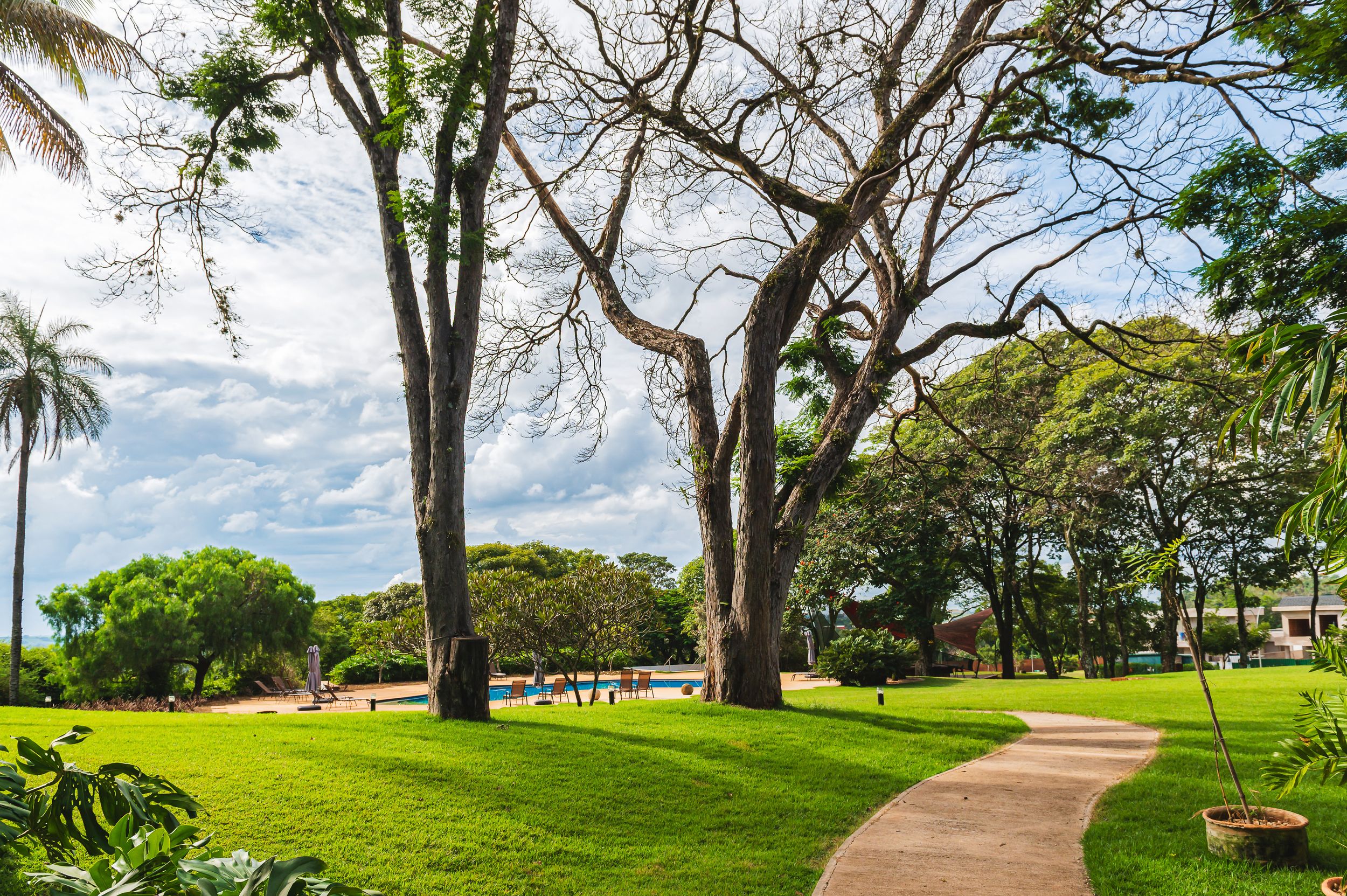 A winding paved path curves through a landscaped park with tall trees and green grass under blue Hawaiian skies.