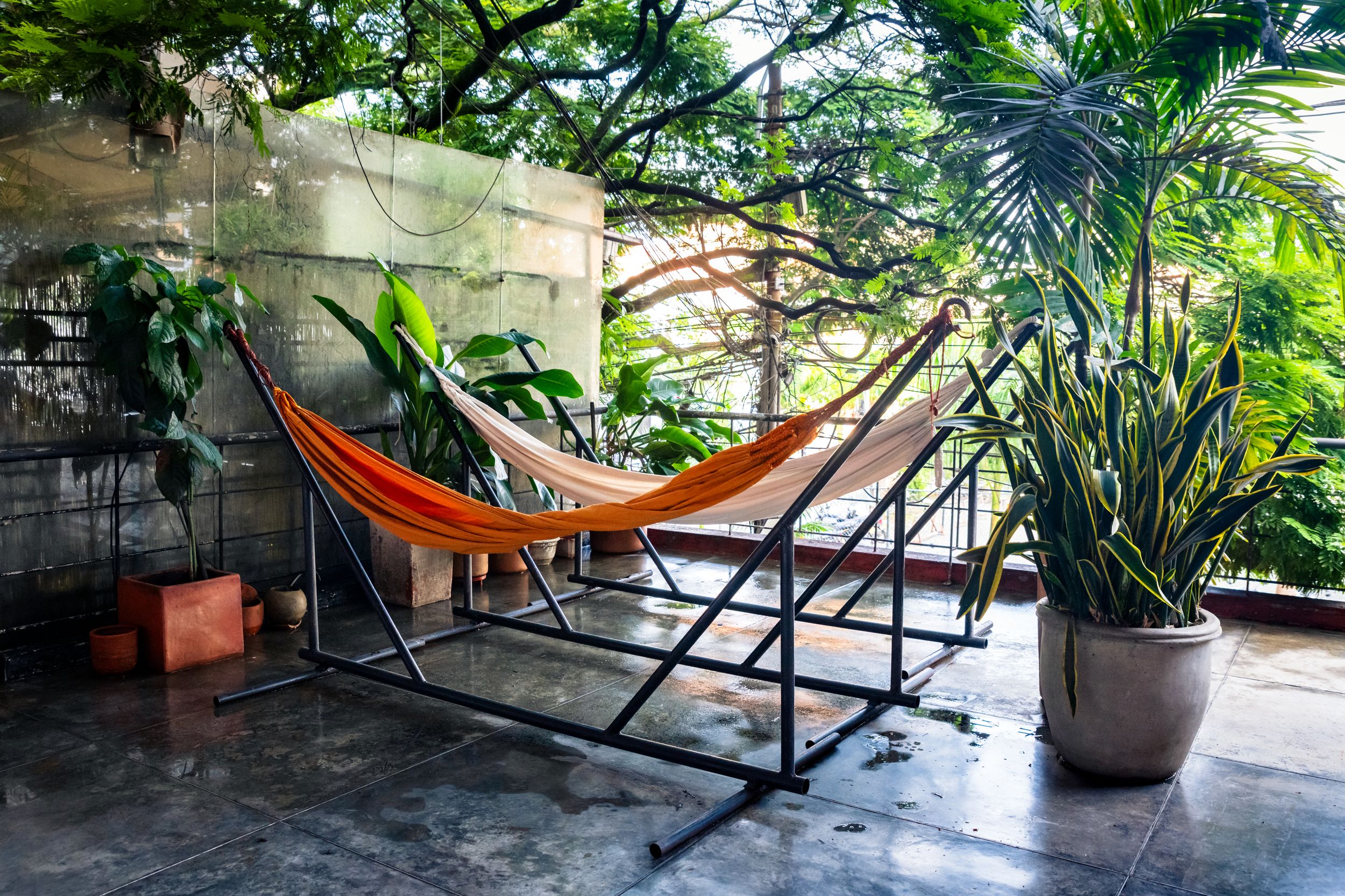 Orange hammock with metal stand on concrete patio surrounded by tropical plants and greenery.