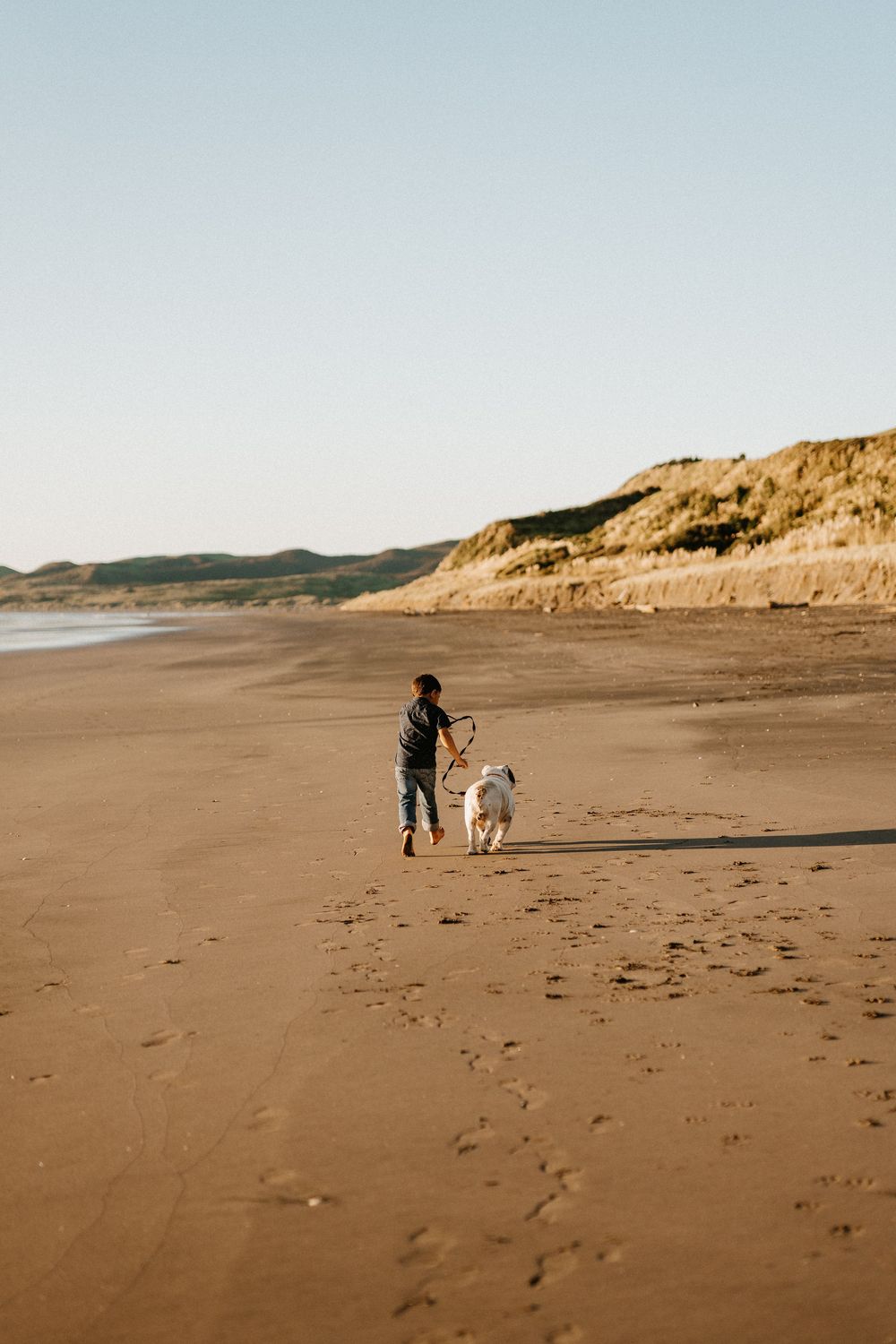 A silhouetted person and dog walking along an expansive beach with golden sand dunes in the background at sunset.