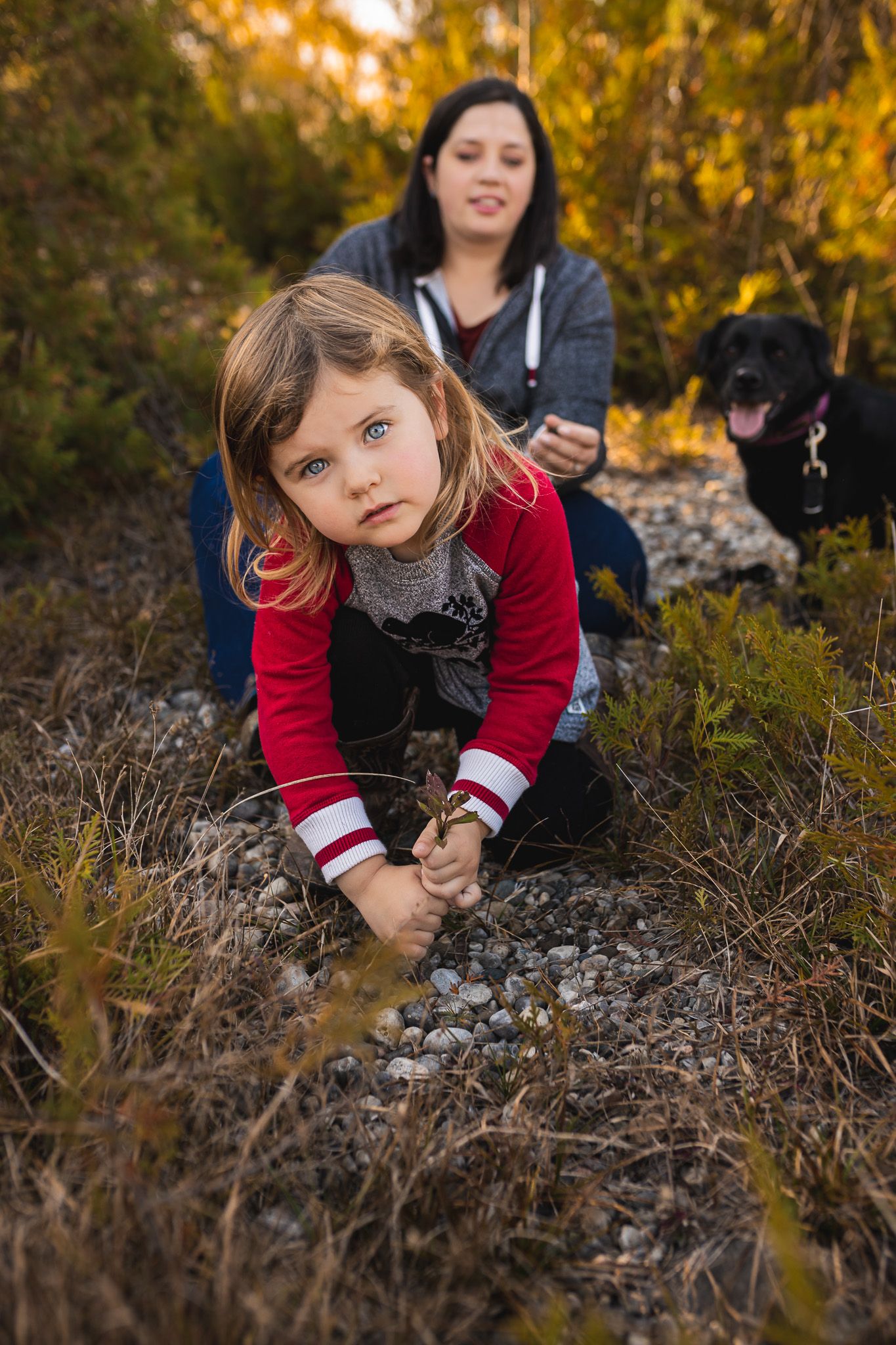 Red-clad child exploring rocks and autumn foliage in golden afternoon light.