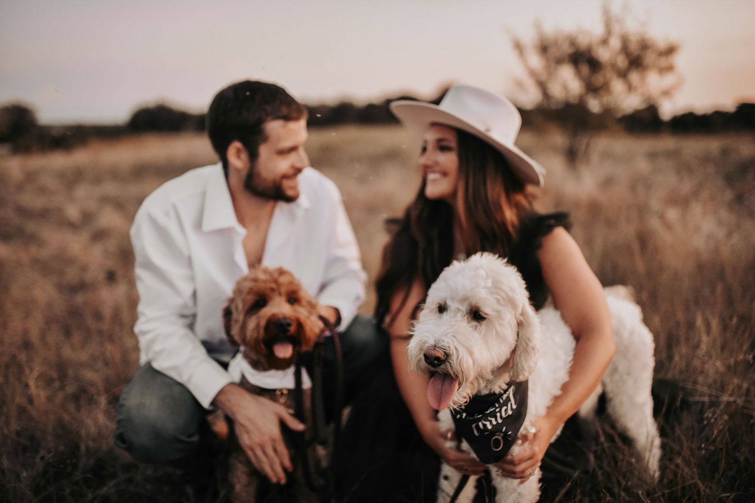 a sweet couple laugh and smile at each other as they cuddle their fur babies in a golden field of grass at golden hour