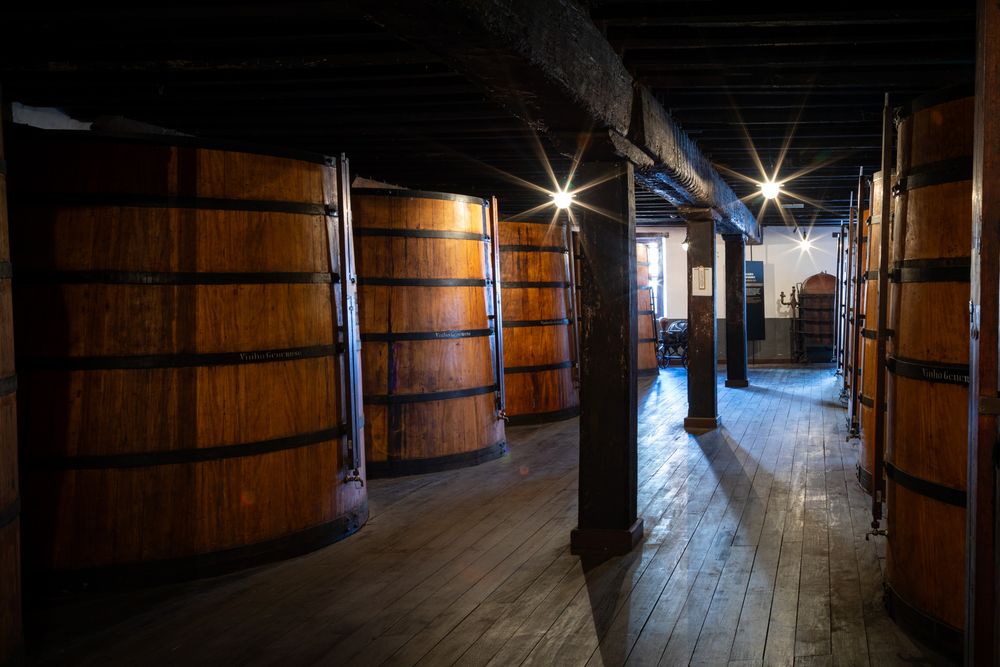 Large wooden fermentation barrels line a dark rustic hallway in an old distillery with wooden floors and ambient lighting.