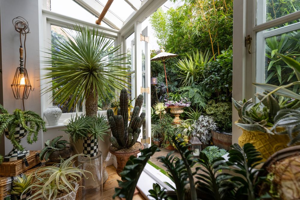 Sunlit conservatory filled with tropical plants, palm trees, and hanging pendant lights creating a lush indoor garden oasis.