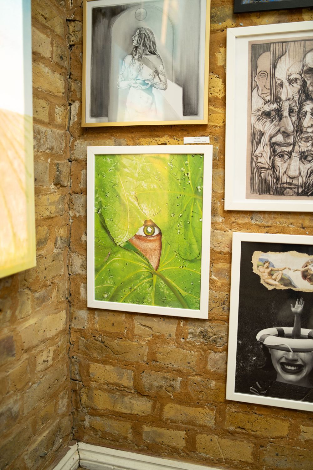 Multiple framed artworks hang on an exposed brick wall including a vibrant green painting featuring an owl in nature.