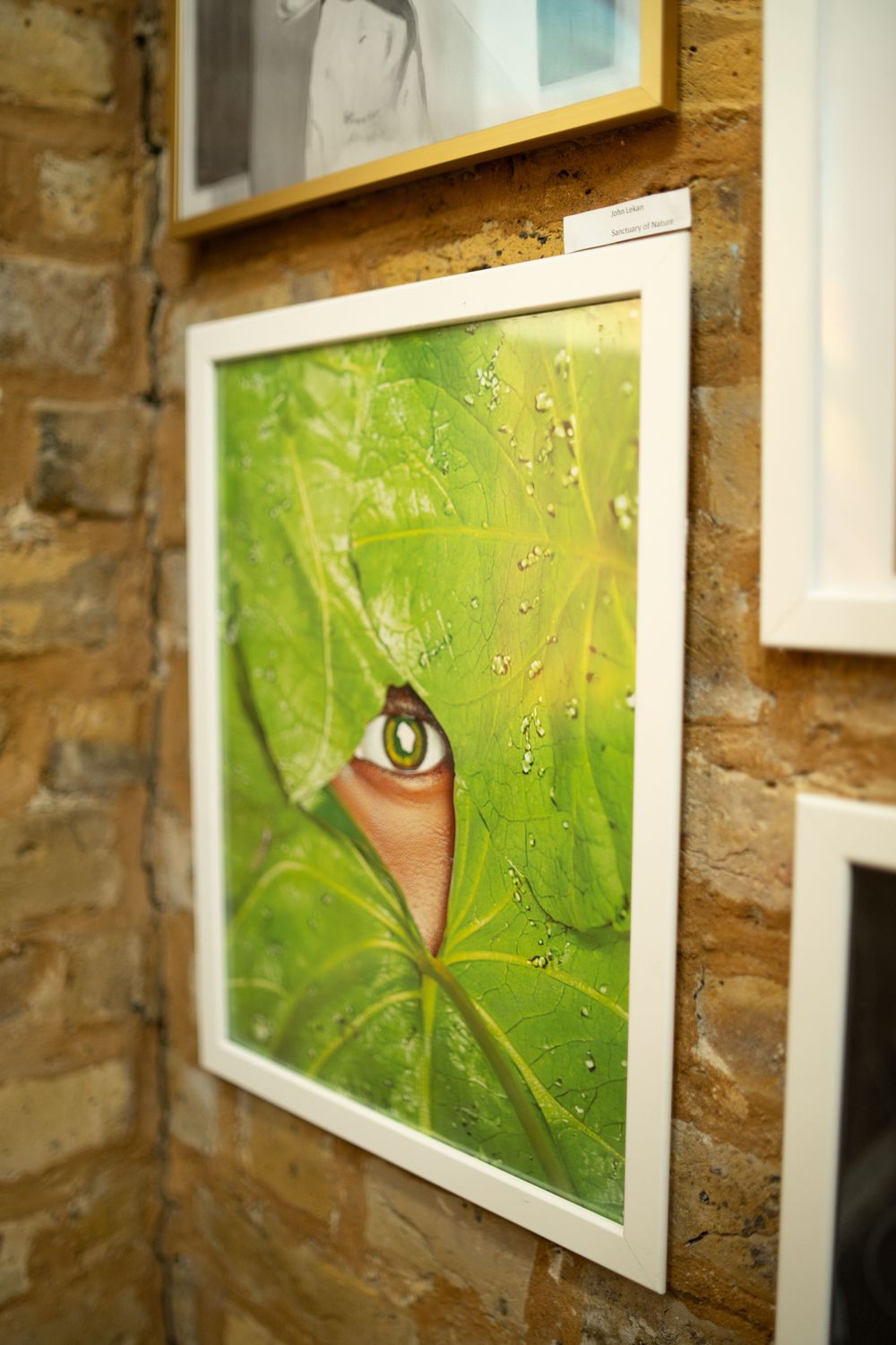 Framed artwork of a brown eye peeking through green leaves with water droplets on a brick wall.