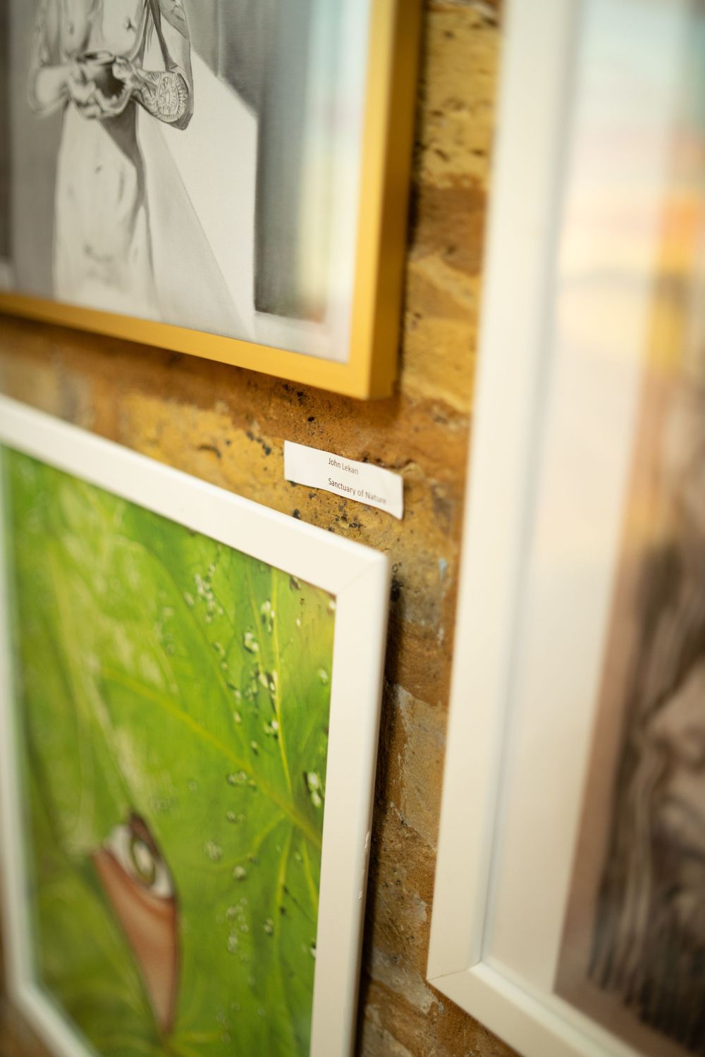 Framed artwork displayed on a textured brown wall showing partial views of photo prints in white frames.