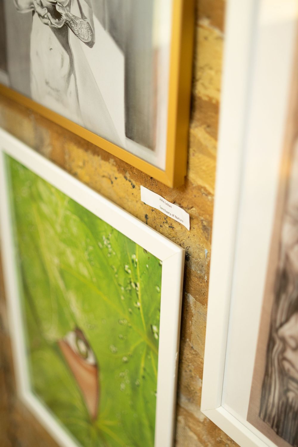 Multiple framed artwork pieces hang on textured cork wall, featuring a green nature print among black and white photos.