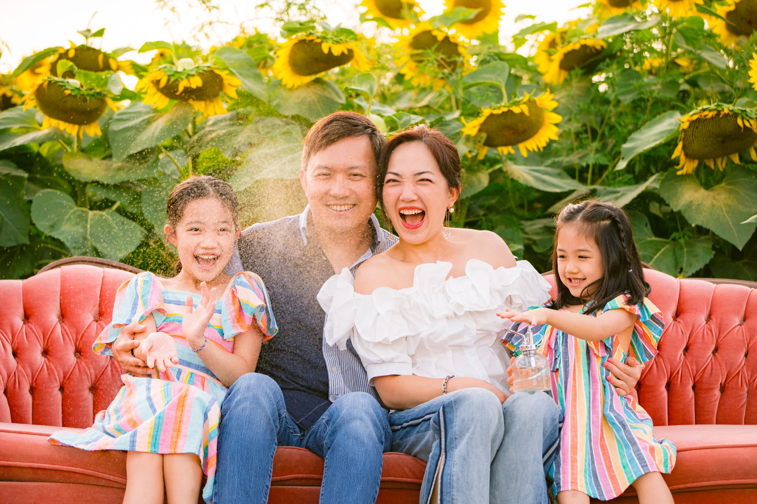 Cheerful family sitting on pink sofa in vibrant sunflower field during summer photoshoot.