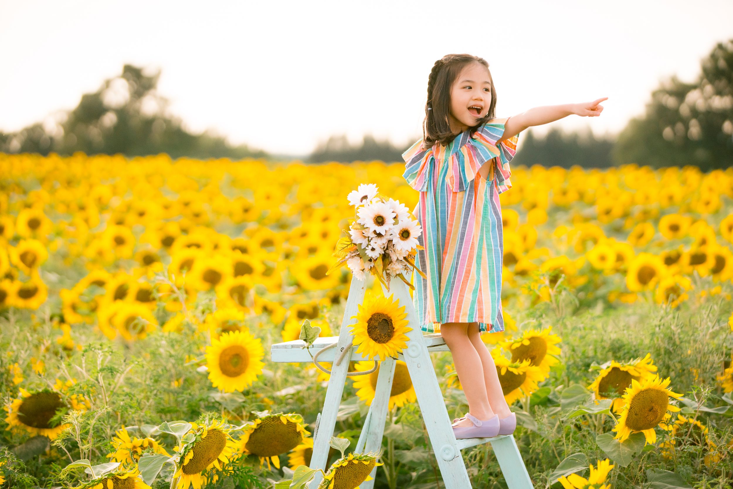 Small child wearing rainbow dress stands on ladder in vibrant sunflower field during golden hour sunset.