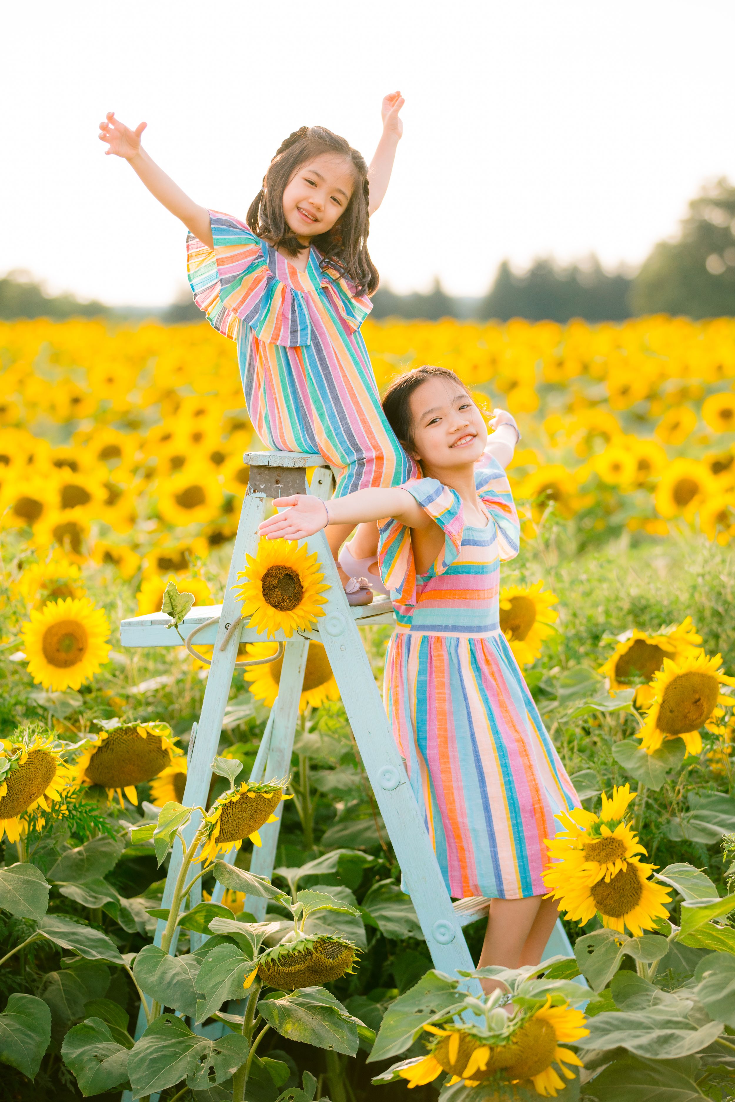Two children wearing matching striped dresses pose joyfully on a blue ladder in a vibrant sunflower field.