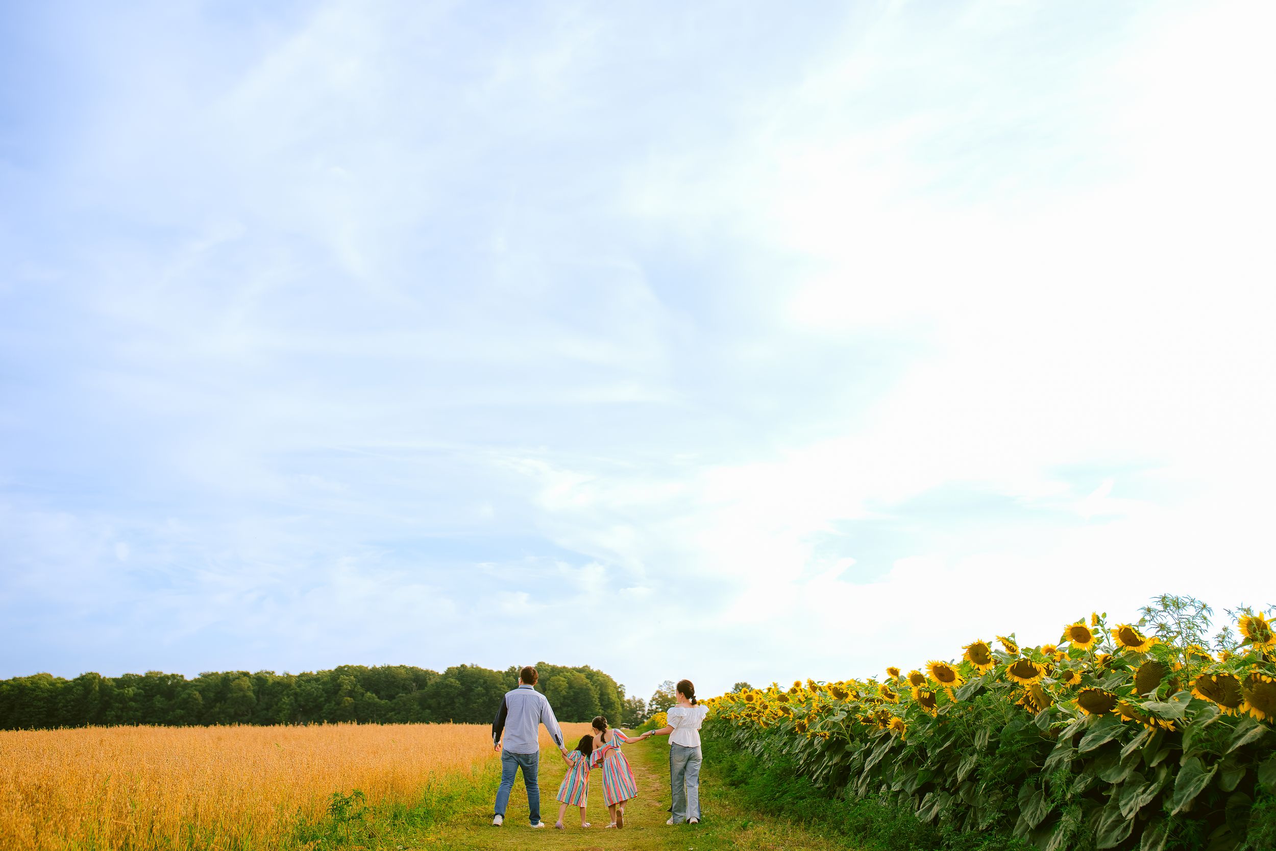 A family walks together in a golden wheat field next to tall blooming sunflowers under a bright blue summer sky.