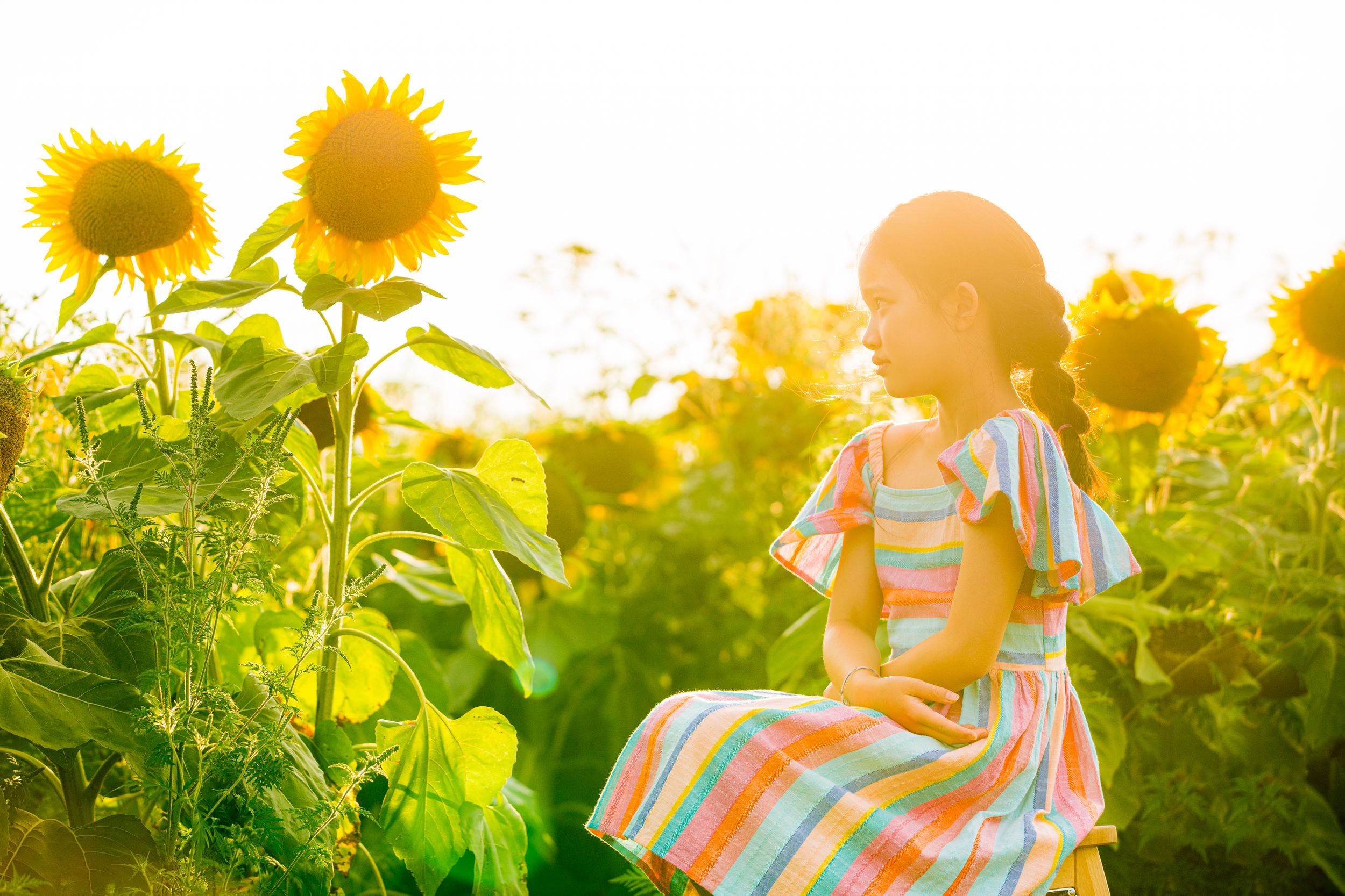 Person in a striped dress sitting among vibrant sunflowers during golden hour.