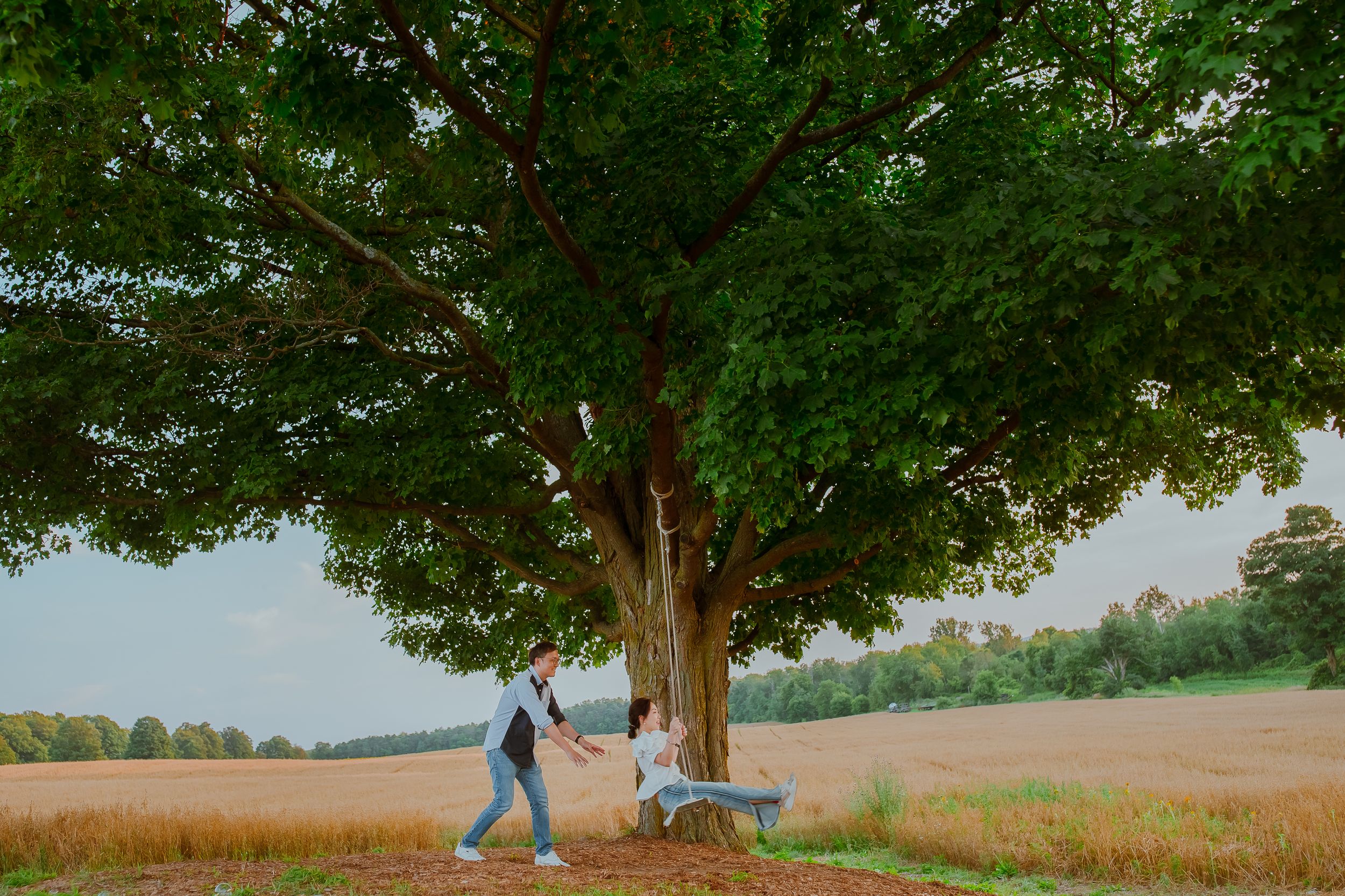A couple stands under a large leafy tree in a rural field during golden hour.