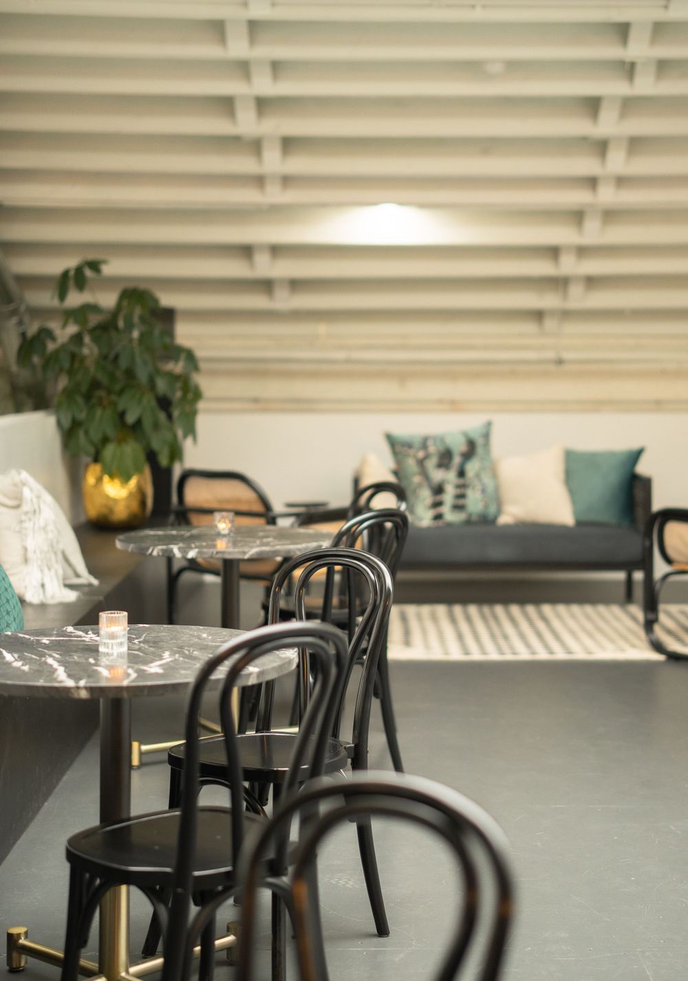 Modern seating area with black bentwood chairs and contemporary furnishings.