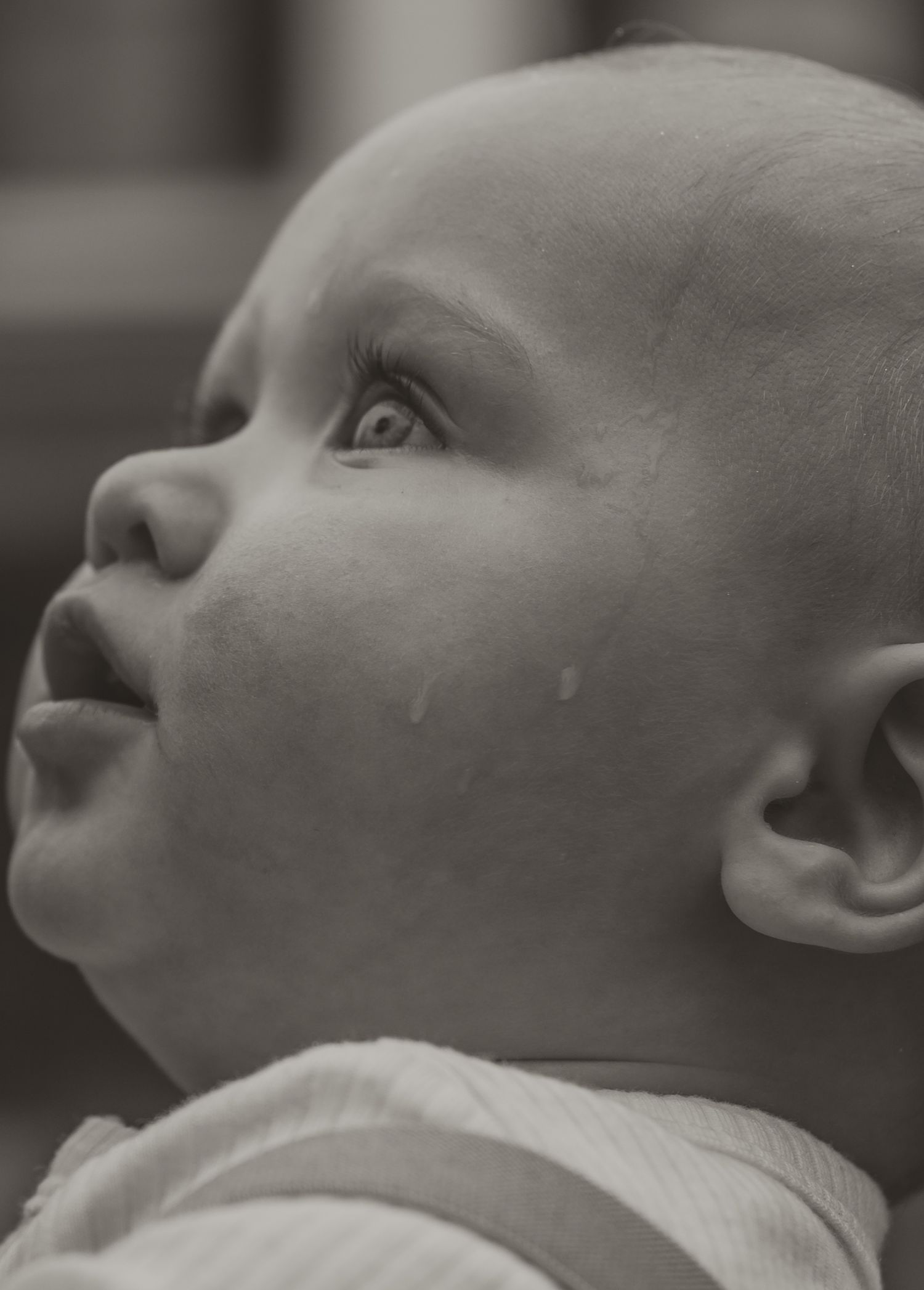 Close-up black and white portrait of an infant looking upward with an expression of wonder and curiosity. photo by Samantha Campbell imagery