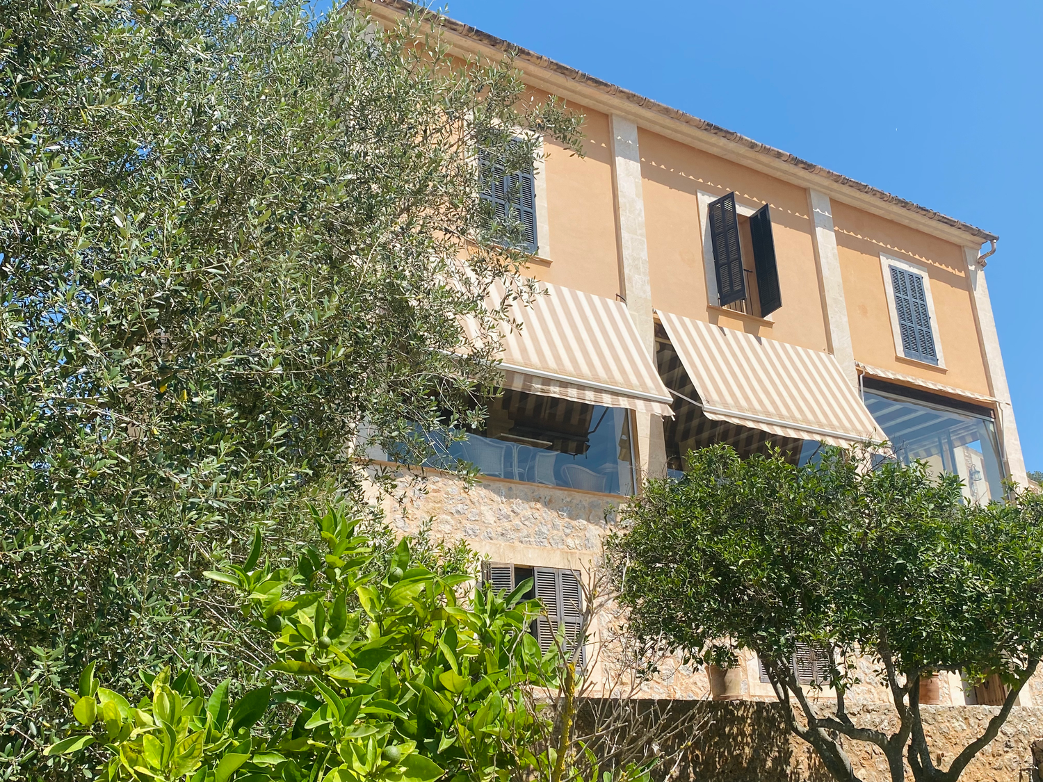 Multi-level Mediterranean house with terrace and olive trees against vivid blue sky.