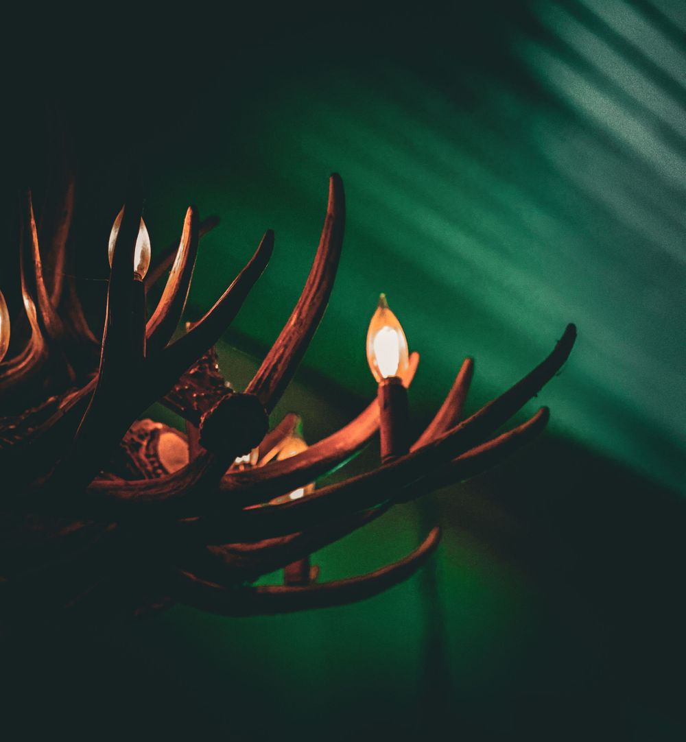 Moody lighting illuminates antler-shaped decor against dark green background.