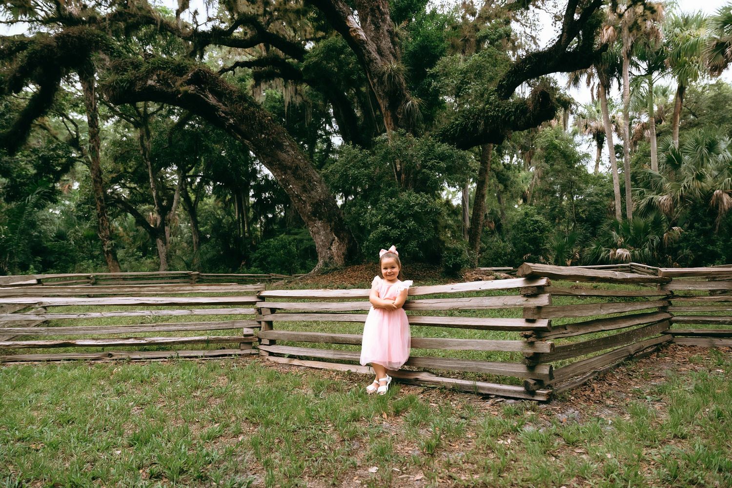 A person in a pink dress stands by a rustic wooden fence surrounded by lush trees in a natural outdoor setting.