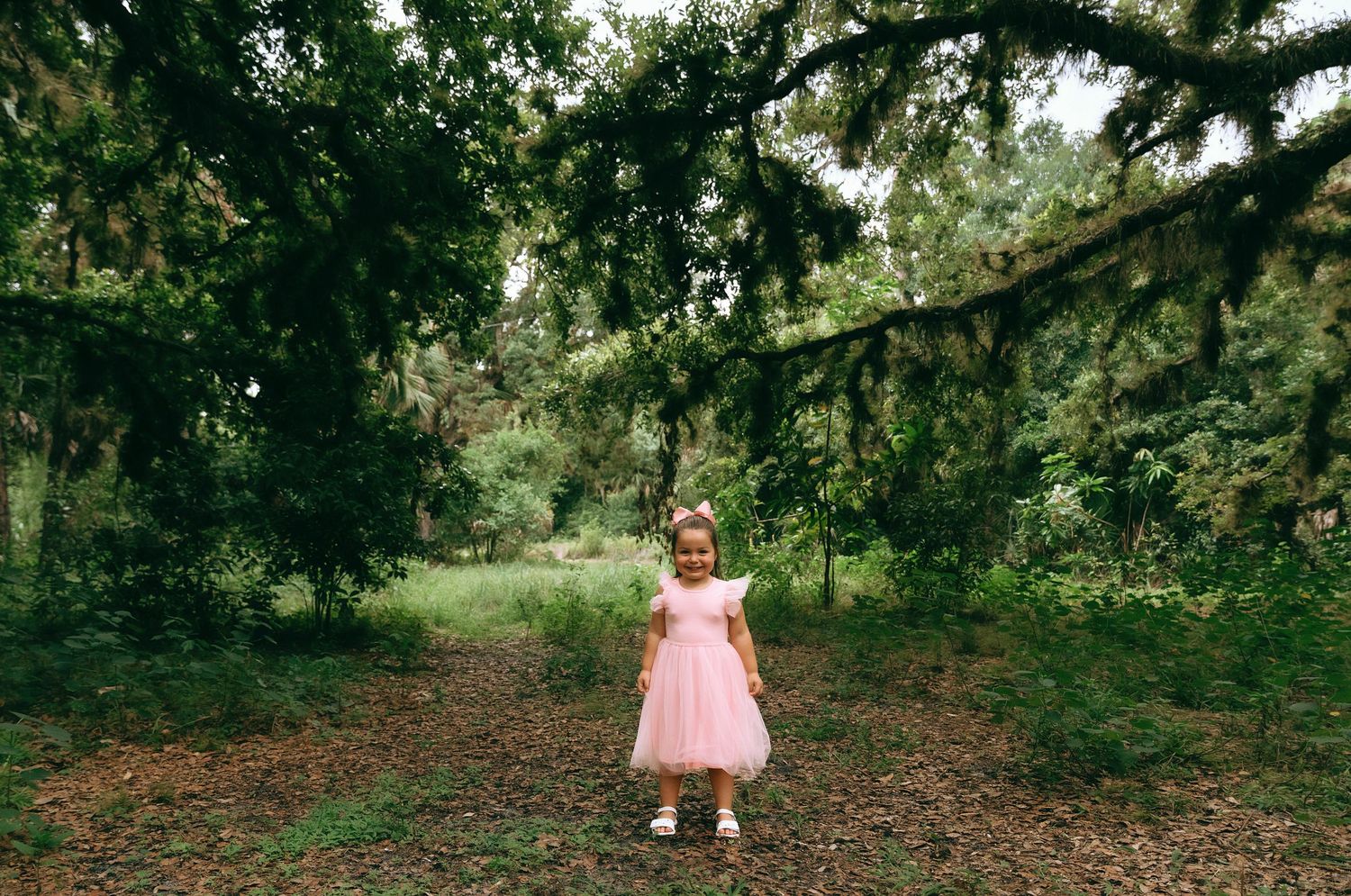A wooded path in a serene forest during a golden sunset with low hanging tree branches creating a magical atmosphere.