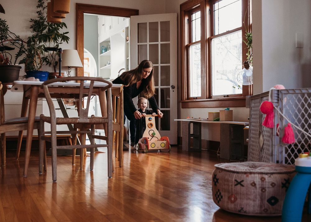 Person in a cozy dining room setting playing with a small dog on hardwood floors near windows and furniture.