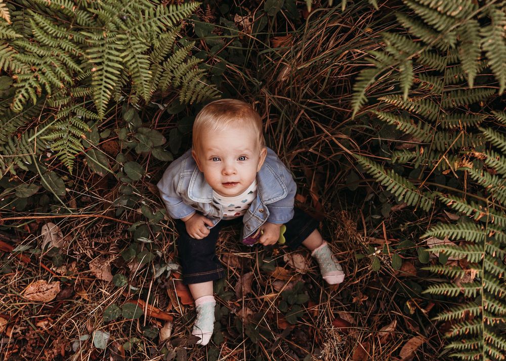 A small child sits among lush green ferns and fallen leaves in a woodland setting.