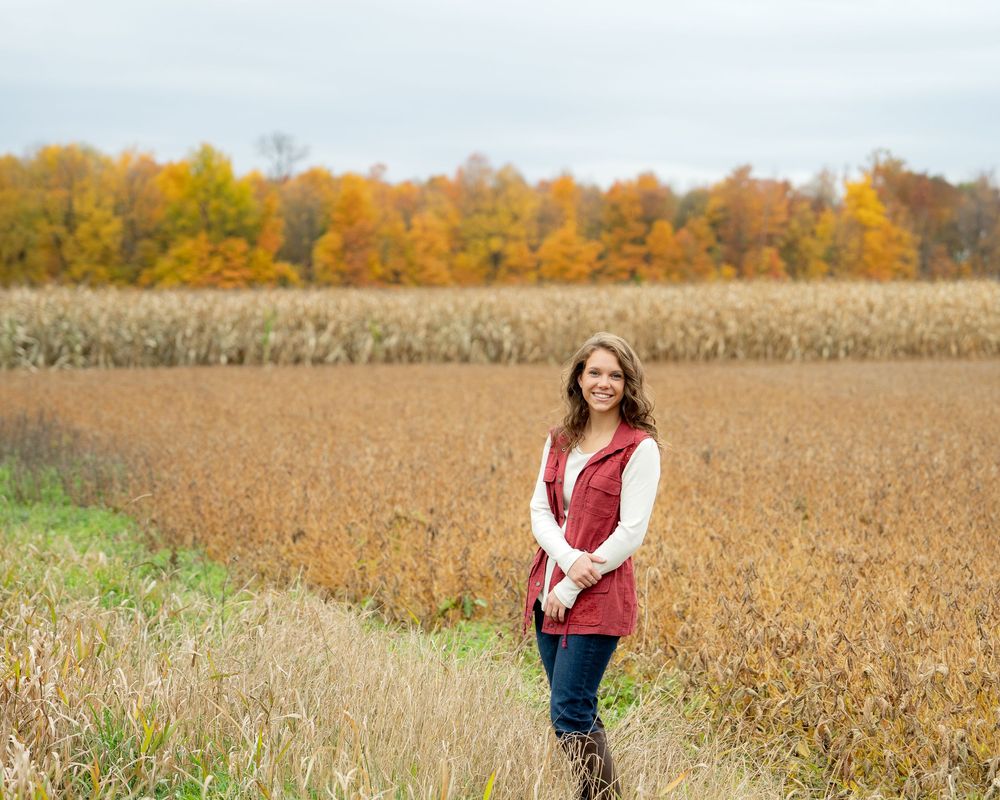 Autumn scene of brown harvested farm field with vibrant yellow and orange fall foliage trees in the background.