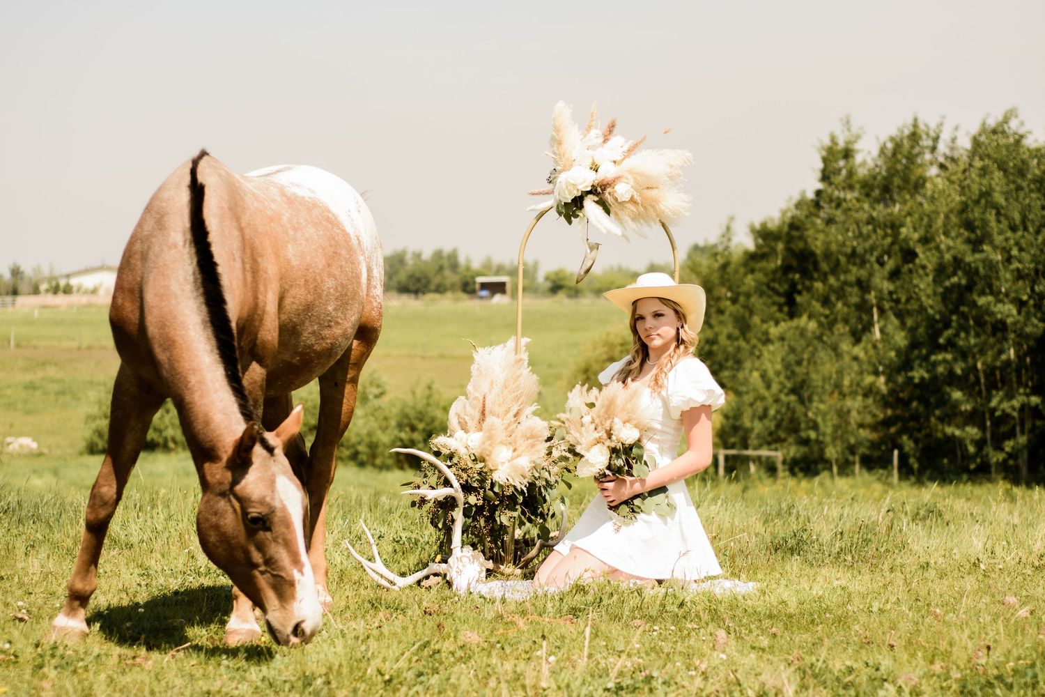 Woman in white dress sitting gracefully in a meadow beside a grazing brown horse on a sunny afternoon.