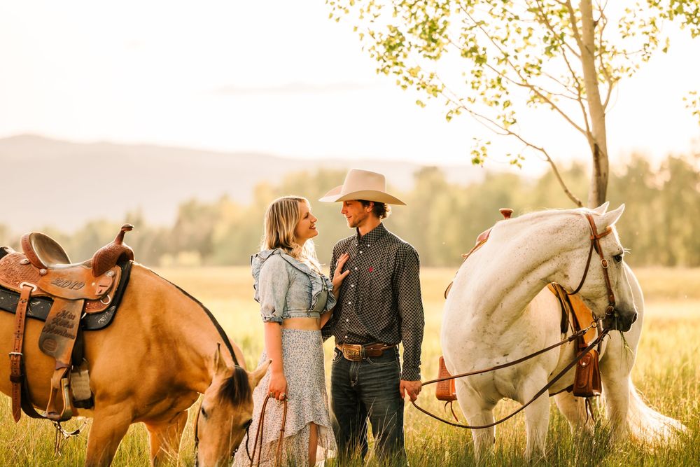 Horses and their riders stand together in a golden meadow during sunset creating a romantic silhouette.