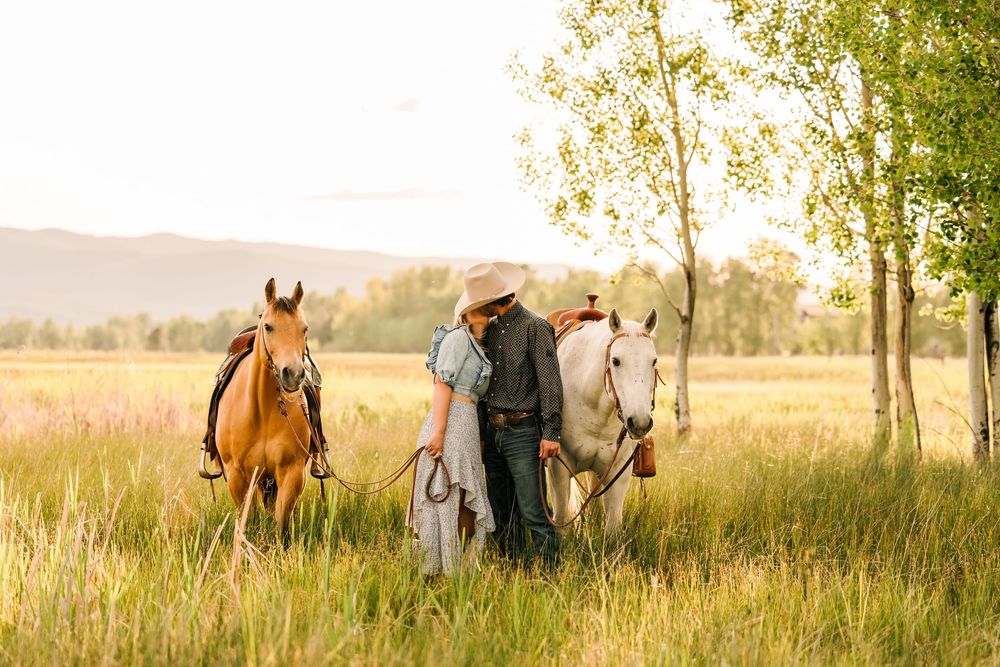 A figure stands in a golden meadow at sunset with two horses surrounded by tall grass and birch trees in the countryside.
