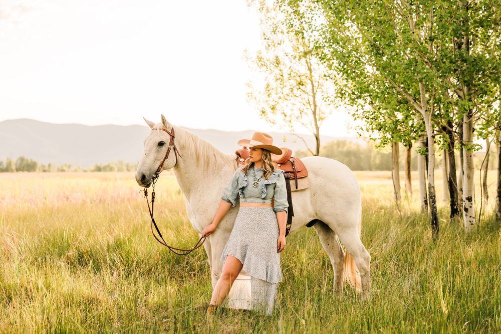 A white horse and companion stand in a sunlit meadow with trees and mountains in the background during golden hour.