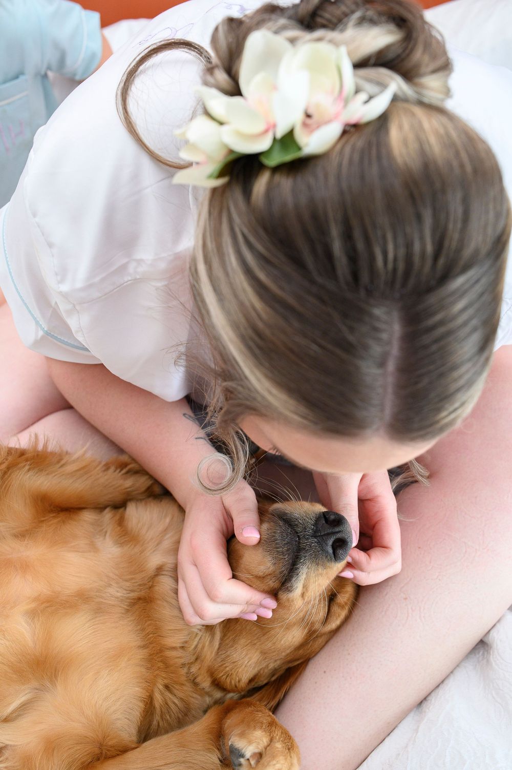A close-up shot of someone petting a golden retriever while wearing a white dress with floral hair accessories.