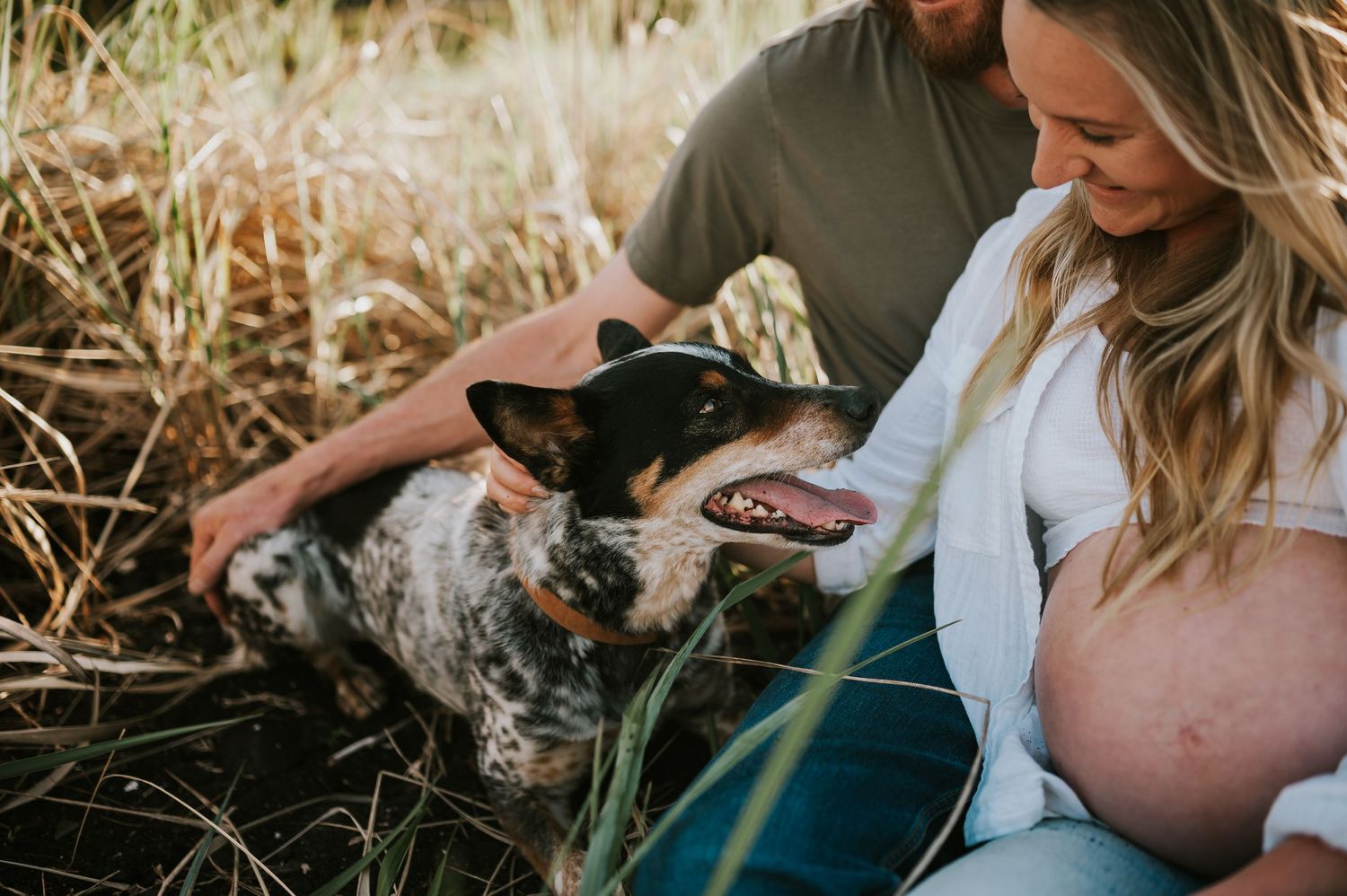 Maternity session of pregnant couple sitting in beach grass with dog Union Bay on Vancouver island Maternity and Outdoor photographer
