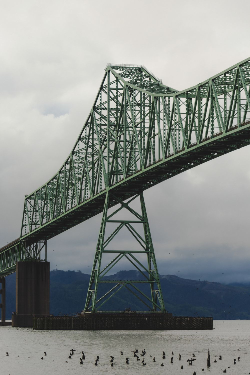 Birds flock near the iconic green steel Astoria-Megler Bridge spanning across the Columbia River in Oregon.
