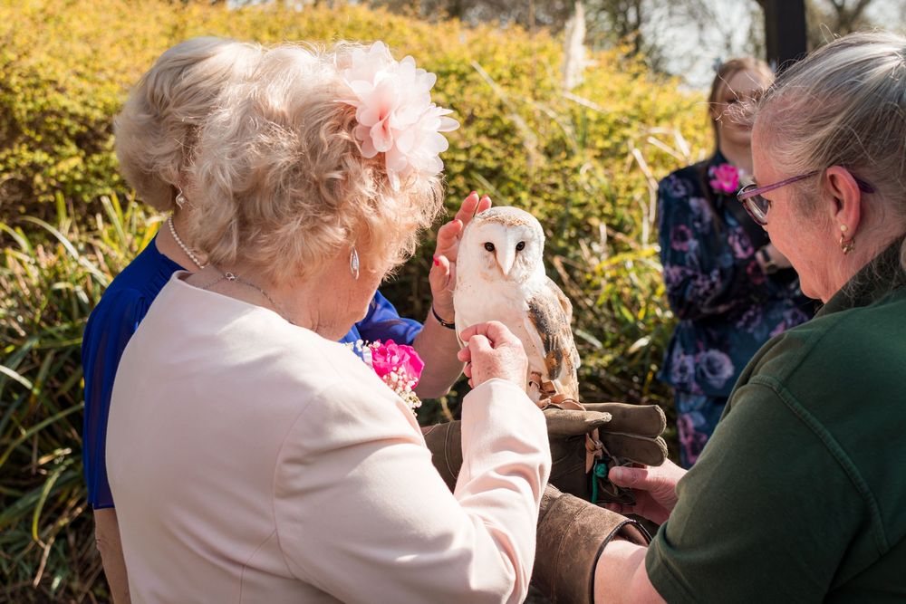 A group of seniors gather outdoors to admire and hold a beautiful white barn owl in the sunlight.
