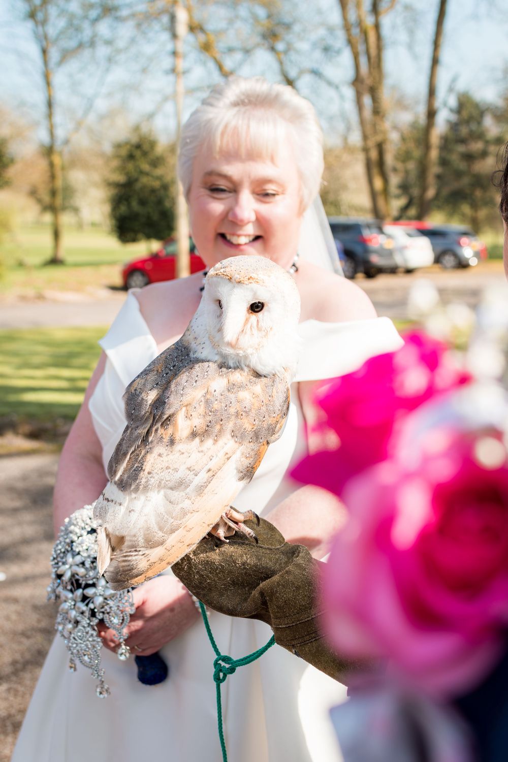 A majestic barn owl perches on a handler's arm against a blurred outdoor background with pink flowers in view.