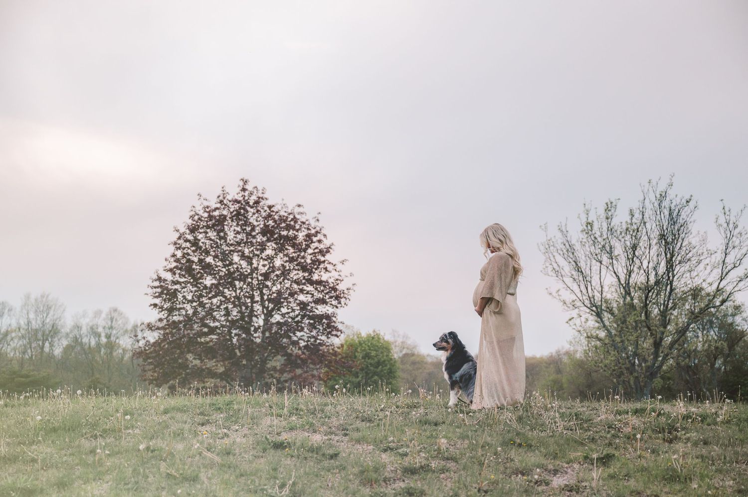 A silhouette standing on a misty hilltop with a dog against a moody sky and bare trees in the background.