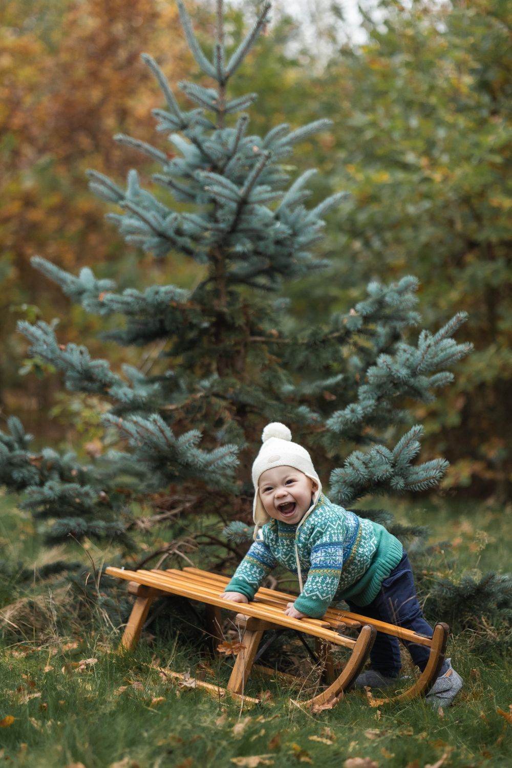 Christmas mini shoot photos shows young child on a sledge in front of a Christmas Tree in a North London Park.