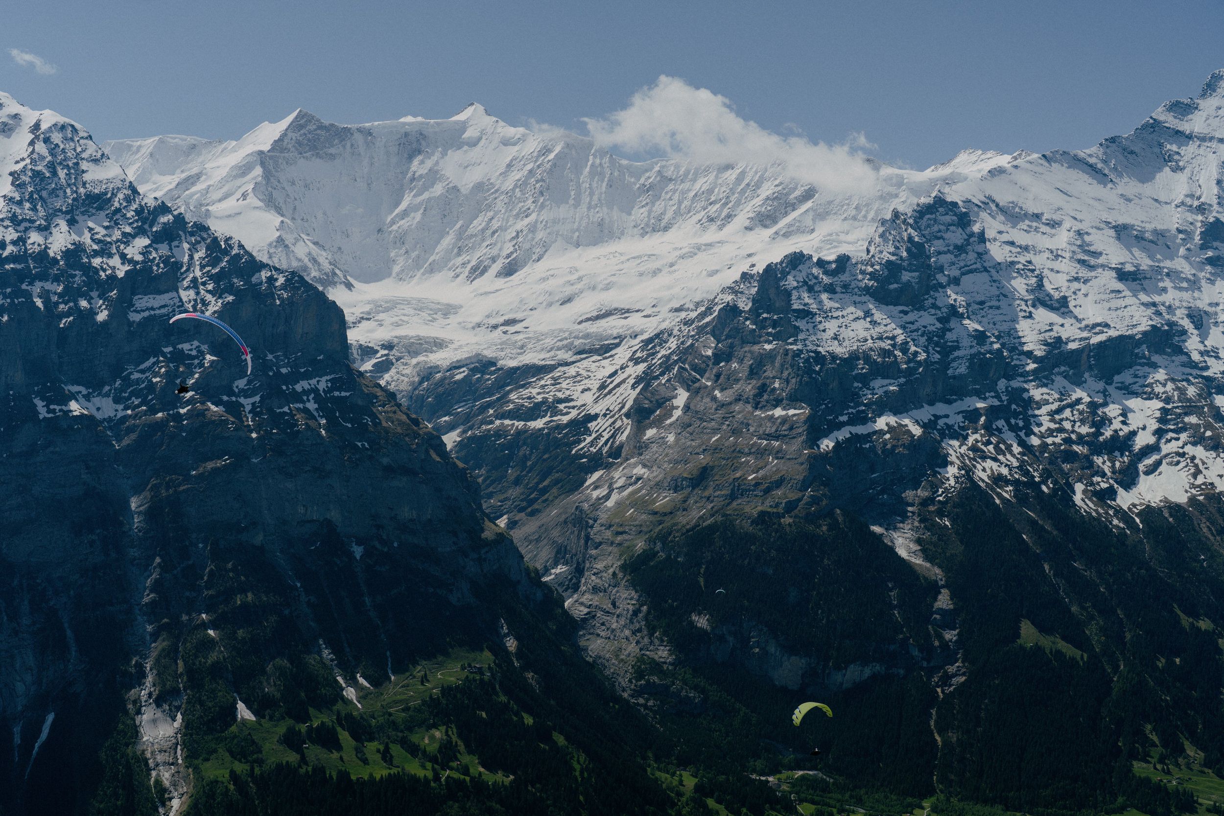 Paraglider soaring above snow-capped alpine mountains with dramatic peaks and green valleys below.