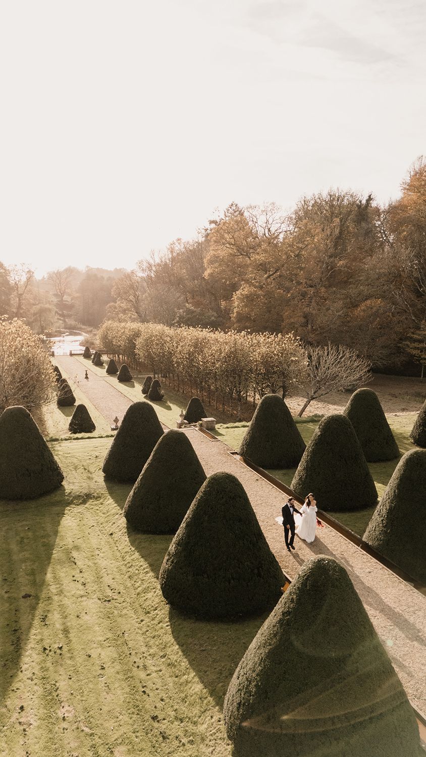 Aerial view of neatly trimmed cone-shaped topiary bushes lining a garden path on a misty autumn day.