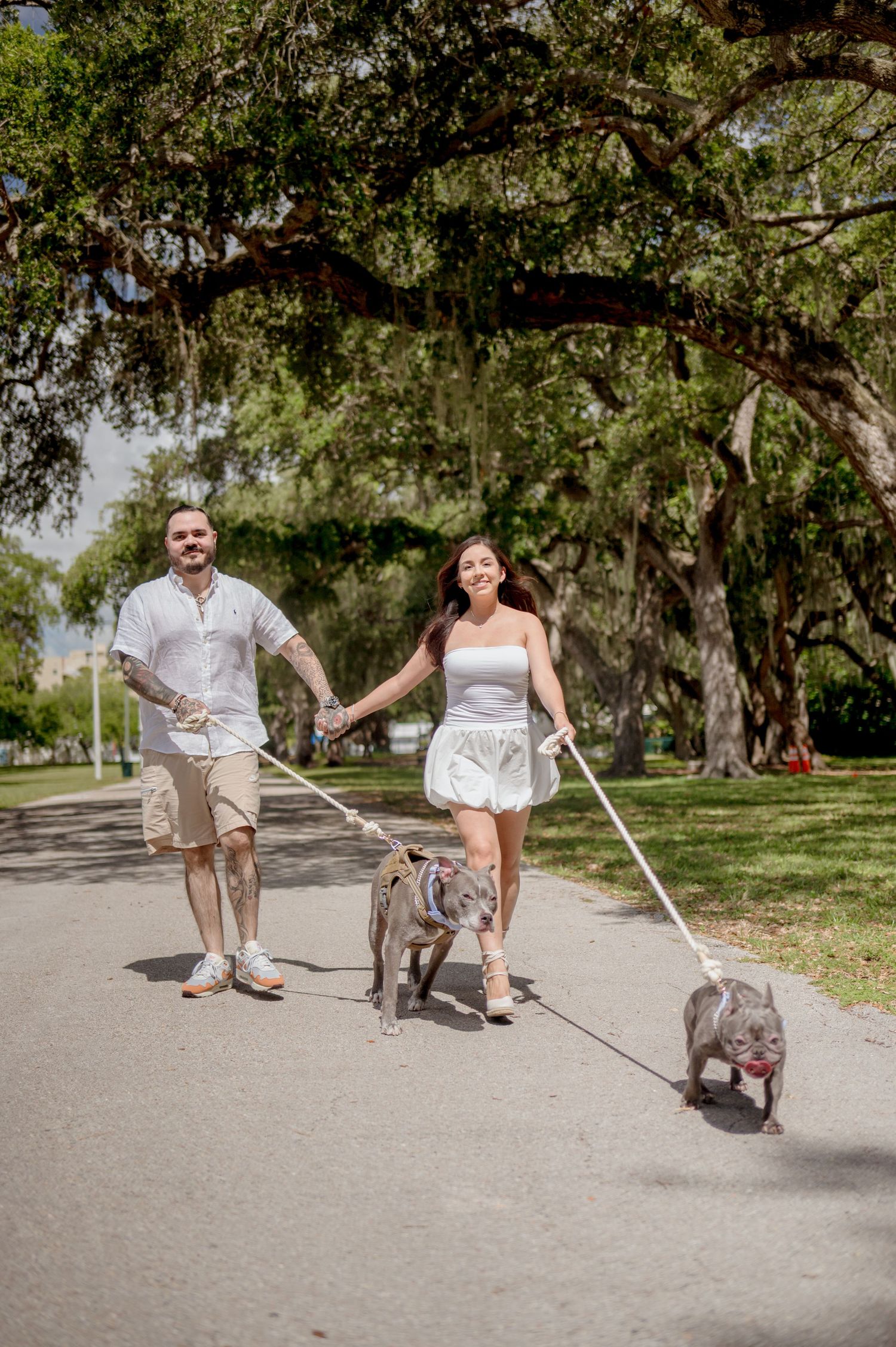 A couple in light summer outfits walking two dogs on leashes along a tree-lined path on a sunny day.