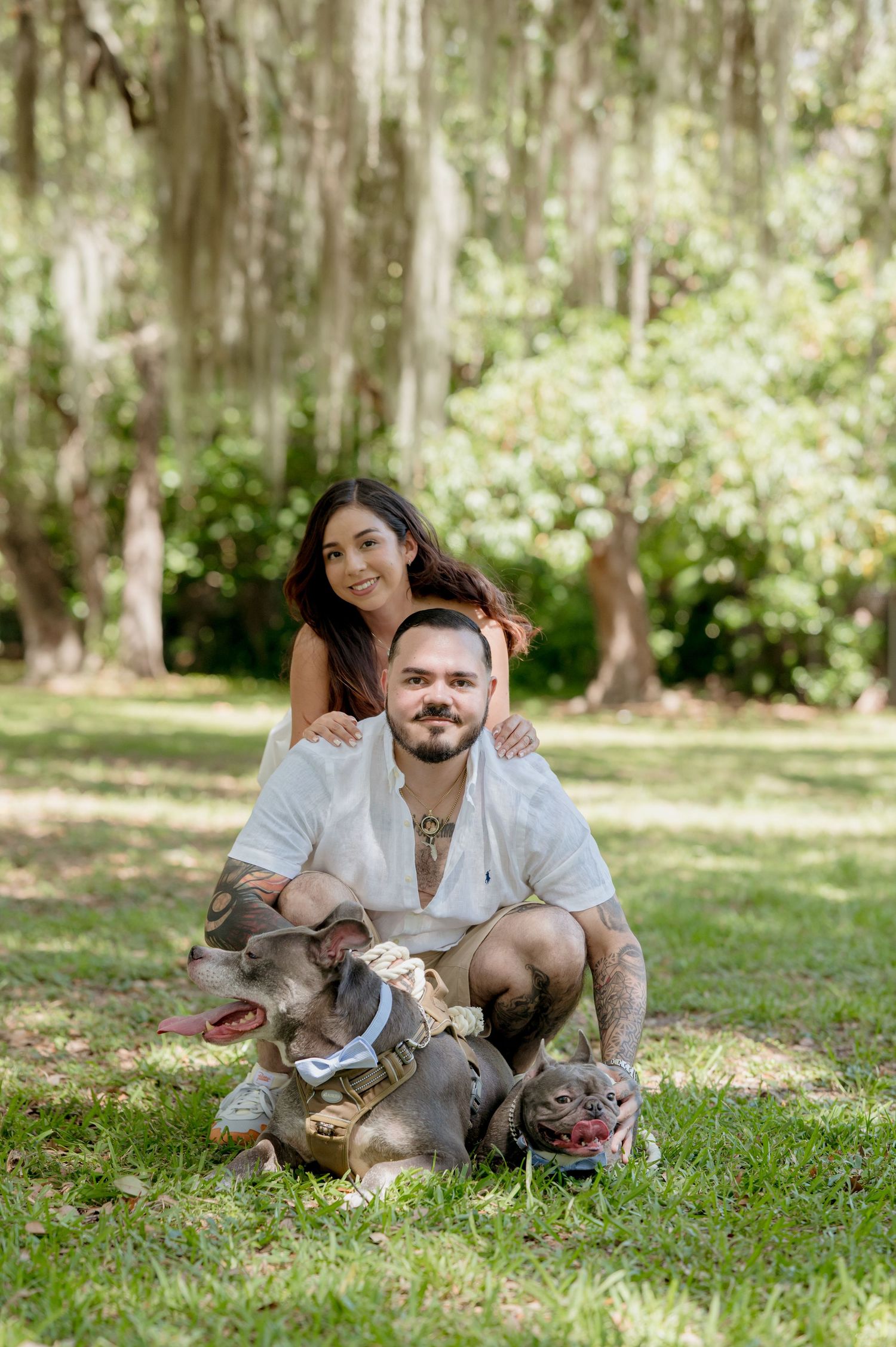 A couple sits with their two pit bull dogs on grass in a sunny park with Spanish moss hanging from trees in background.