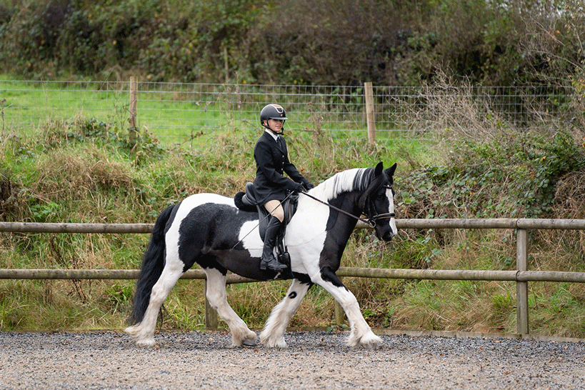 Horse rider in an arena on a piebald coloured horse in Devon