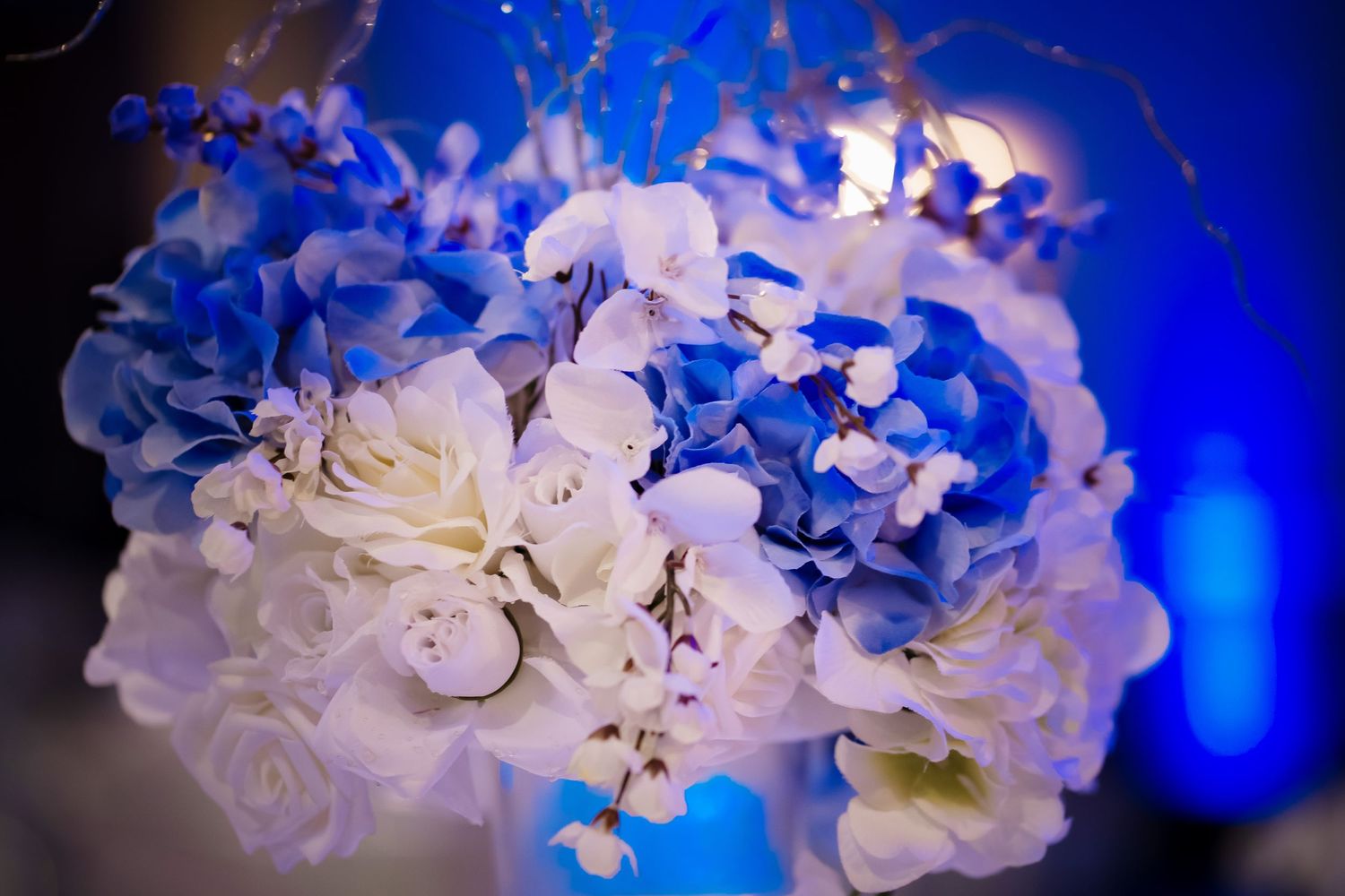 Quinceanera Photo Checklist quince photography DFW best fotolilly photography Quince decoration and Quince cake traditions Quince Treats DFW